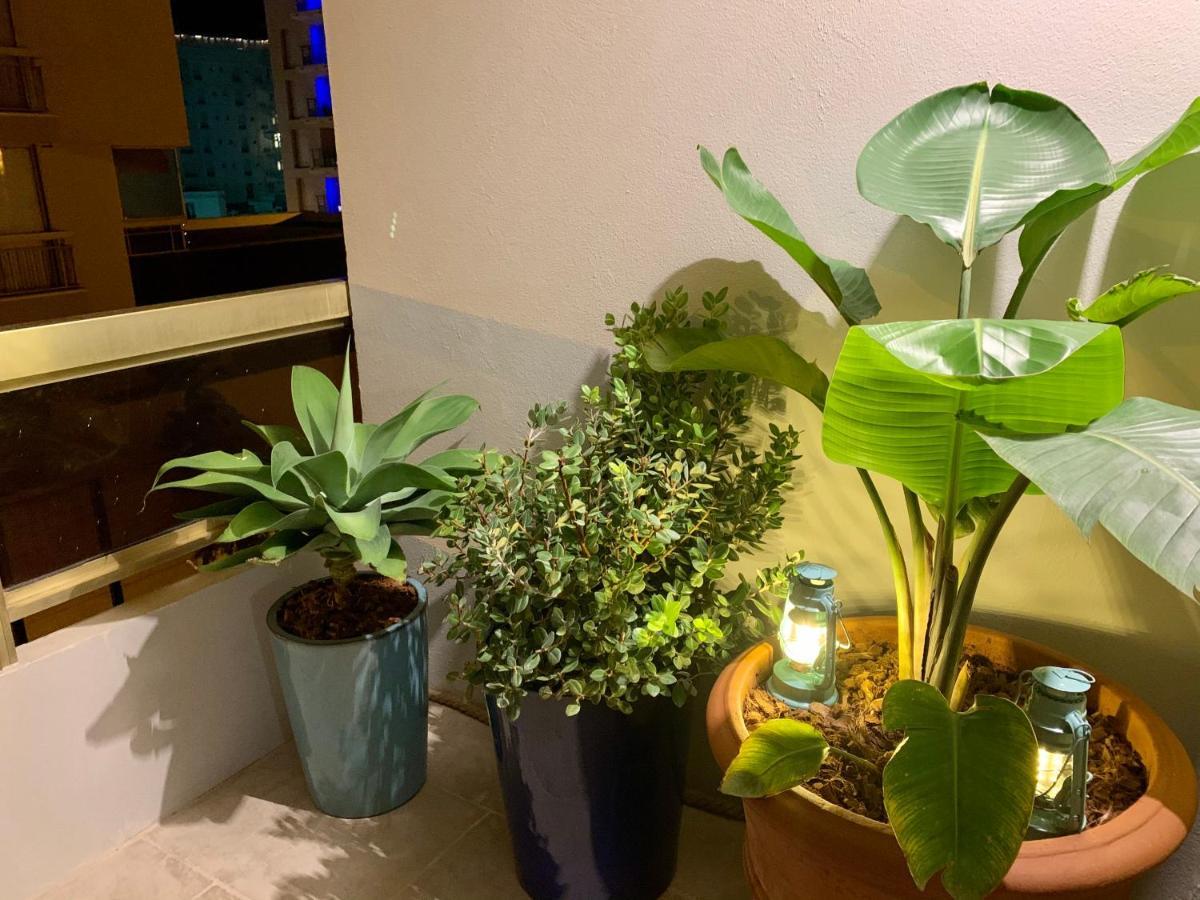 Apartamento Magnifique 3 Pieces En Plein Coeur De Cannes